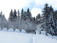 Juste après le Col de l'Aiguillon