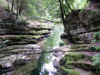 Areuse, tronc d'arbre en réflexion sur les Gorges