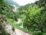 Chemin falaises arbre et rivière