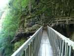 Le pont d'observation.