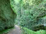 Chemin des Gorges en environnement verdoyant.