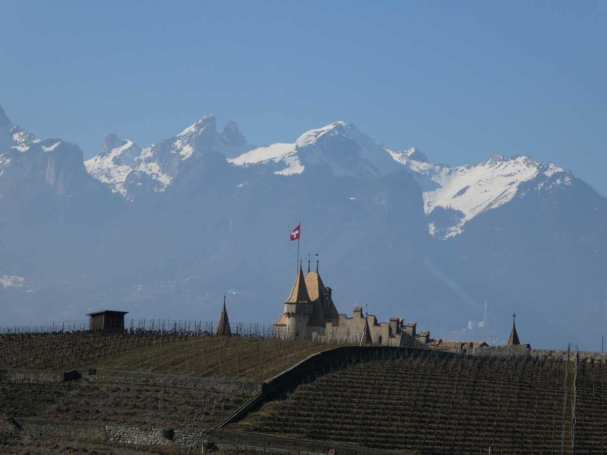 Le château d'Aigle apparaît devant le chablais et derrière une petite colline de vigne préfigurant le musée éponyme