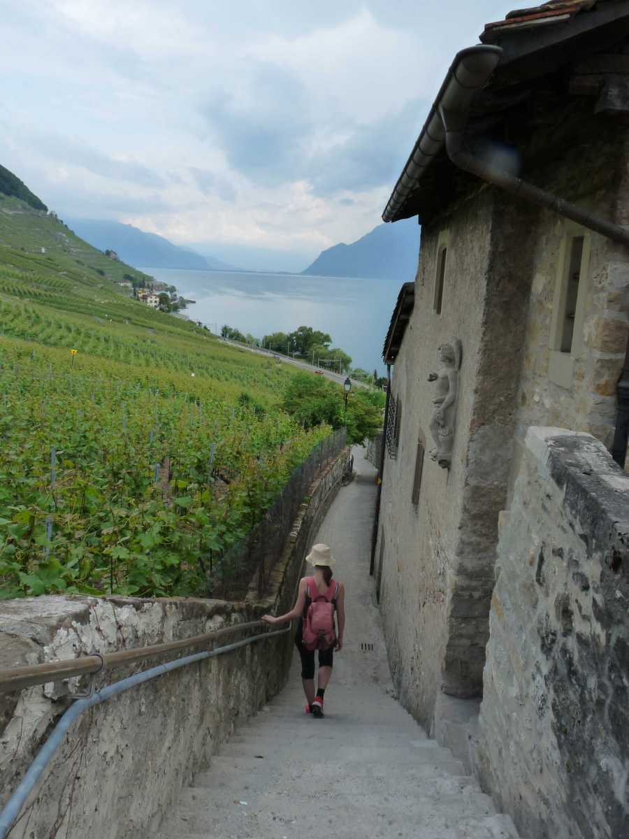 Descente sur la gare de Cully