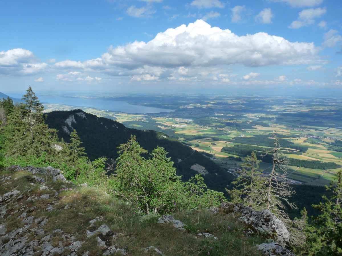 Le lac de Neuchâtel