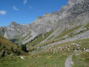 Vue aval durant la montée juste avant Anzeindaz