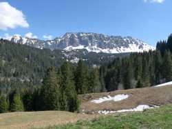 Le Mont d'Or depuis le nord