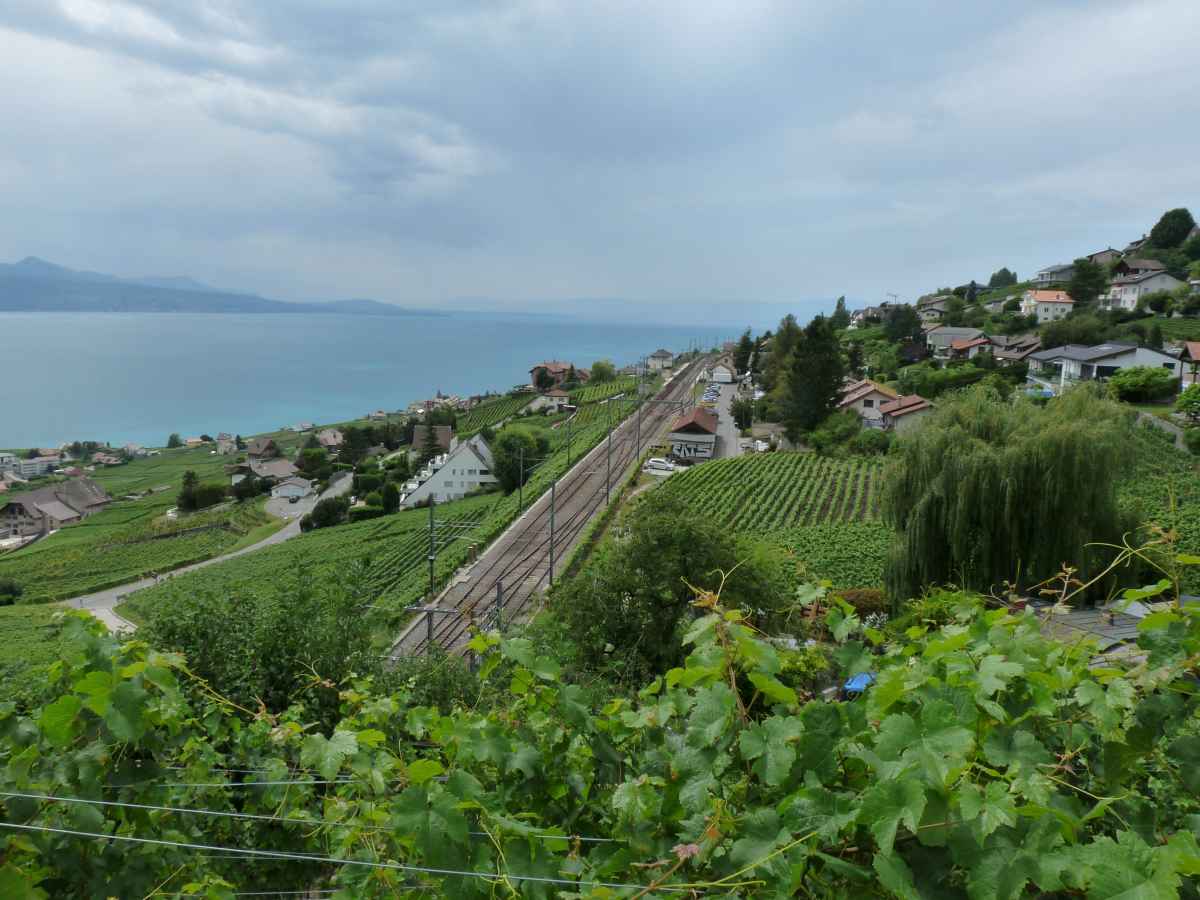 Vignobles et vue sur Grandvaux