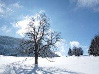 Arrivée au Col de l'Aiguillon