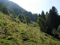 Montée bucolique au Col des Gaules