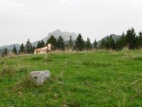 Le Sommet La Neuve-Montbrion avec vue sur Teysachaux