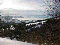 Vue en descendant du Niremont