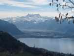 Vue sur les Dents du Midi.