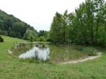 Un étang de l'arboretum.