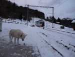 Gare de Fayaux