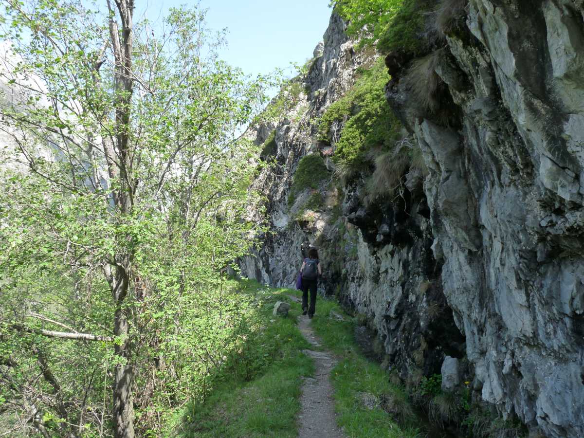 Le long du bisse 2