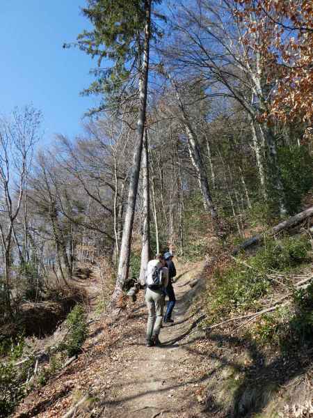 La montée en forêt continue