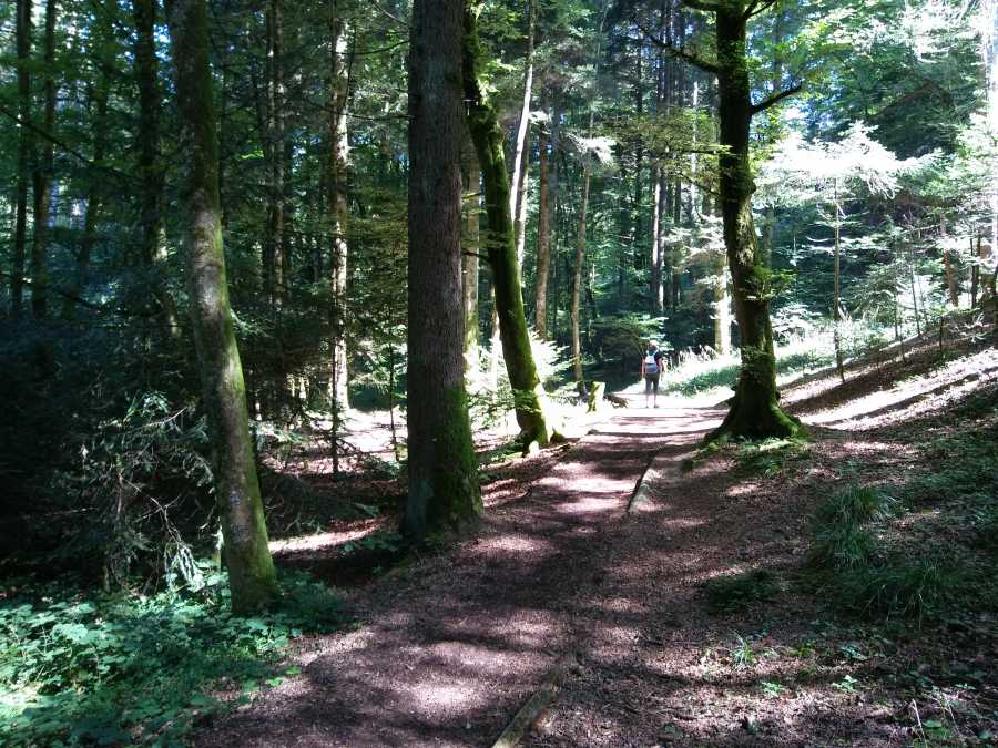 Puis de lumière au bout du chemin