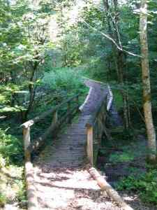 Passerelle et piste en sous bois