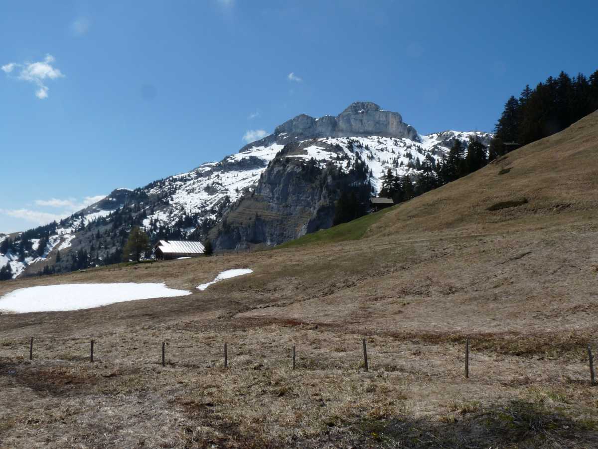 Famelon côté nord-est